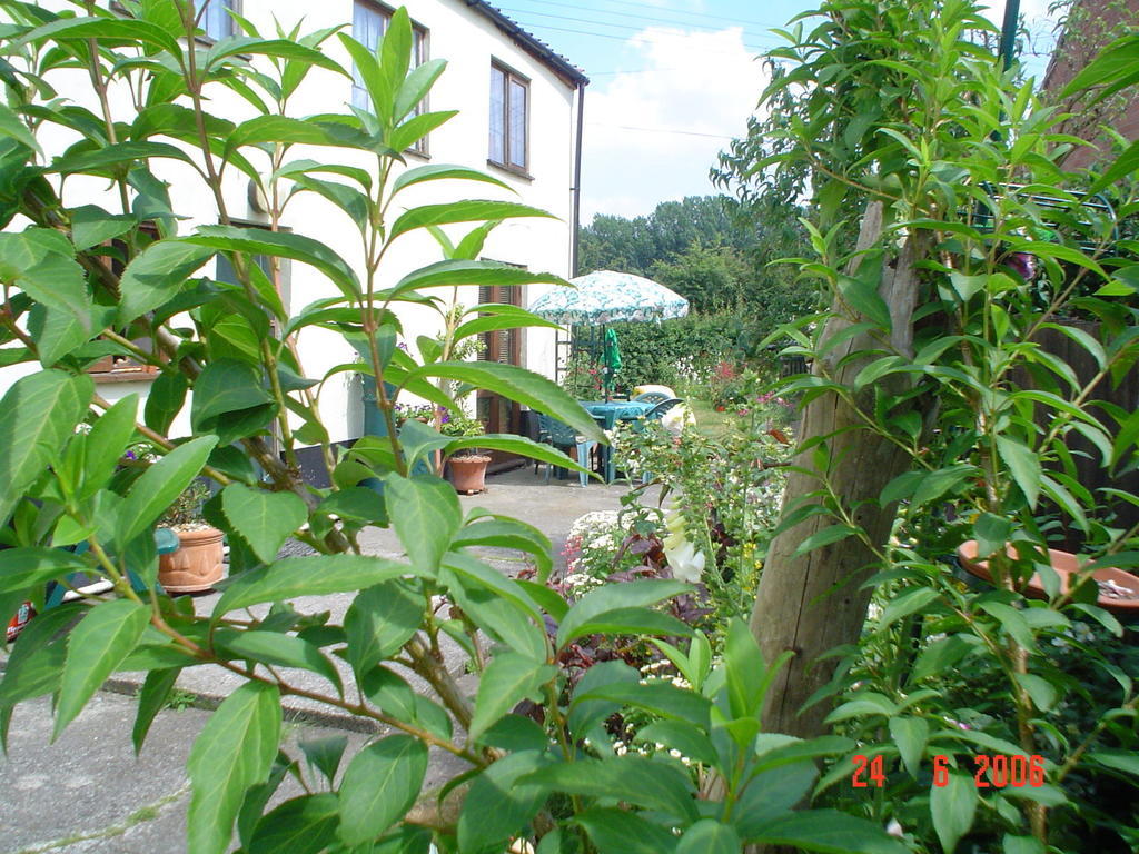 Bed and Breakfast The Elms East Harling Екстер'єр фото