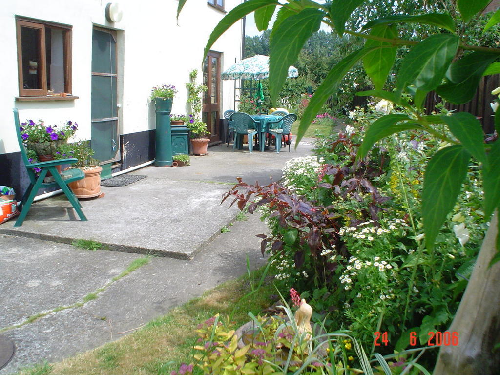 Bed and Breakfast The Elms East Harling Екстер'єр фото